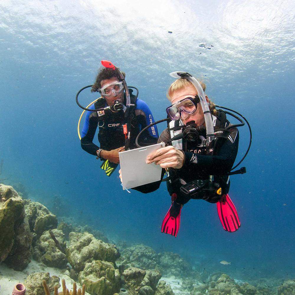 adventure dive and travel